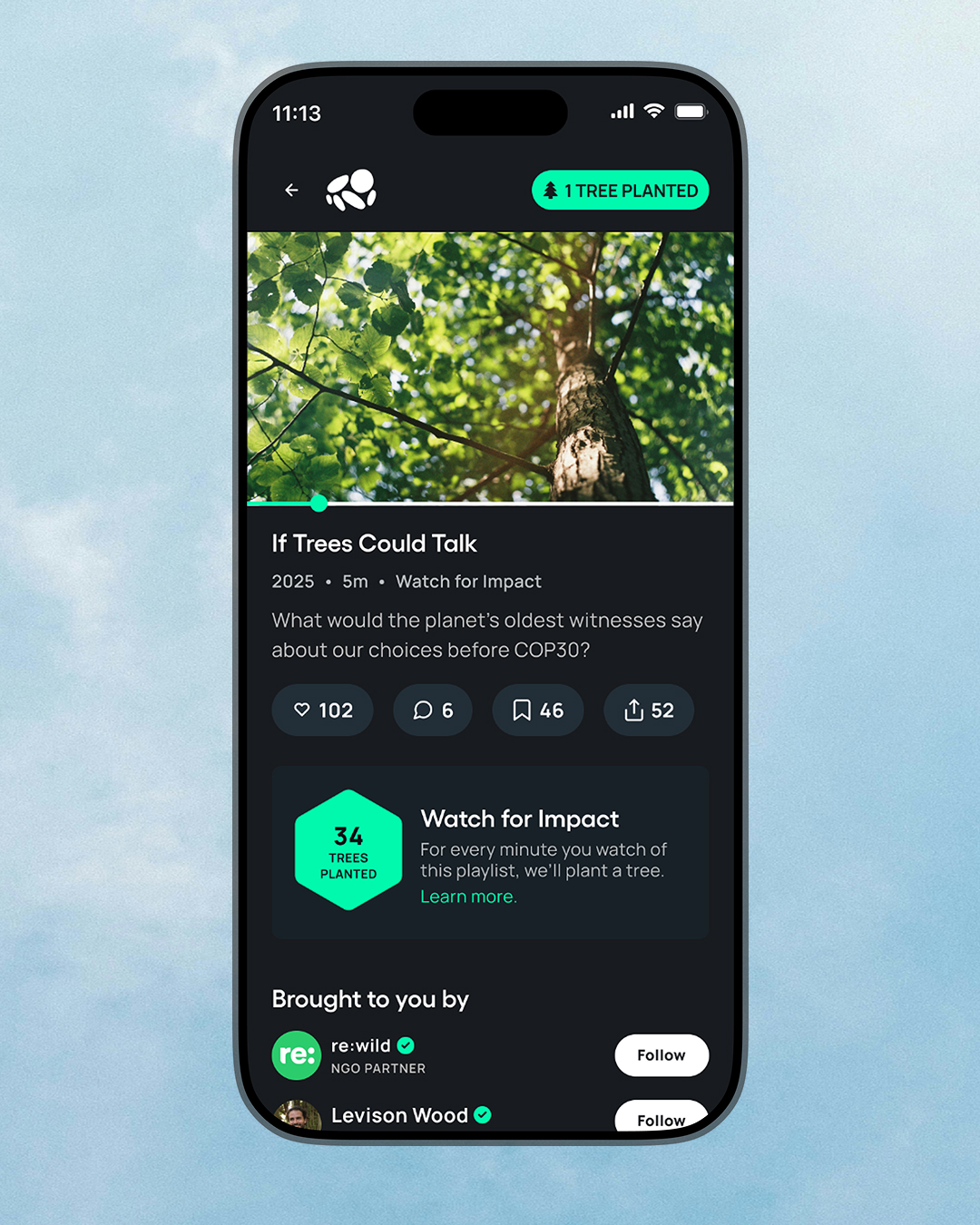 If Trees Could Talk video with Watch for Impact tree counter